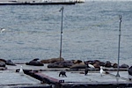 After our many meals, the ship's crew is taking a nap