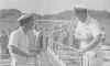 oi43.jpg (24069 bytes)